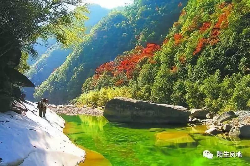 离婚后过得幸福的可能性有多大？游戏画面